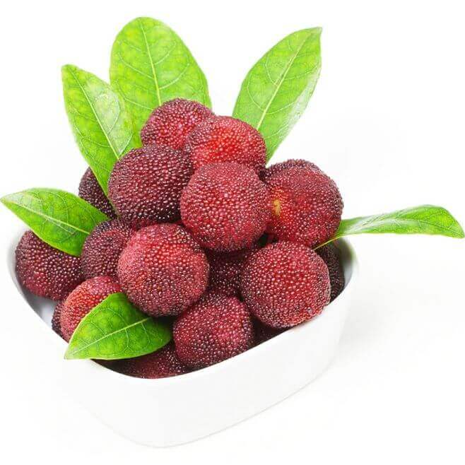 Bayberry Drying Process